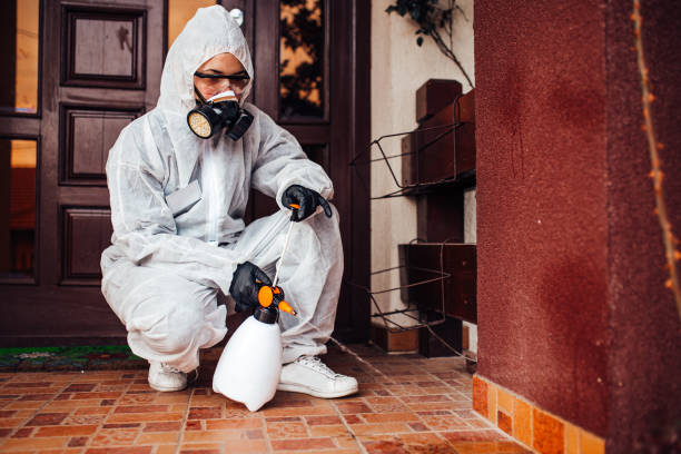 Reliable Cockroach Control contractor in Jonesboro, IN by Nex Pest Control