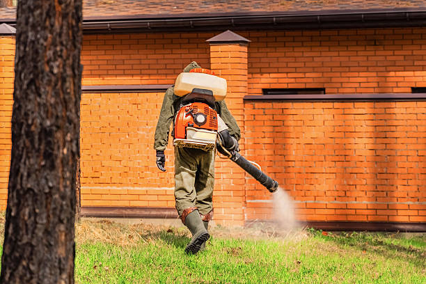 Trusted Cockroach Control service in Jonesboro, IN - Nex Pest Control